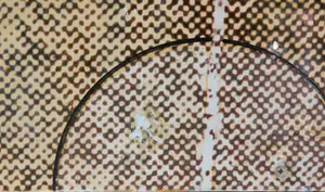 Ossip - Gemengde Techniek - Stoel (Zeer Groot) kopen? Bied vanaf 1!