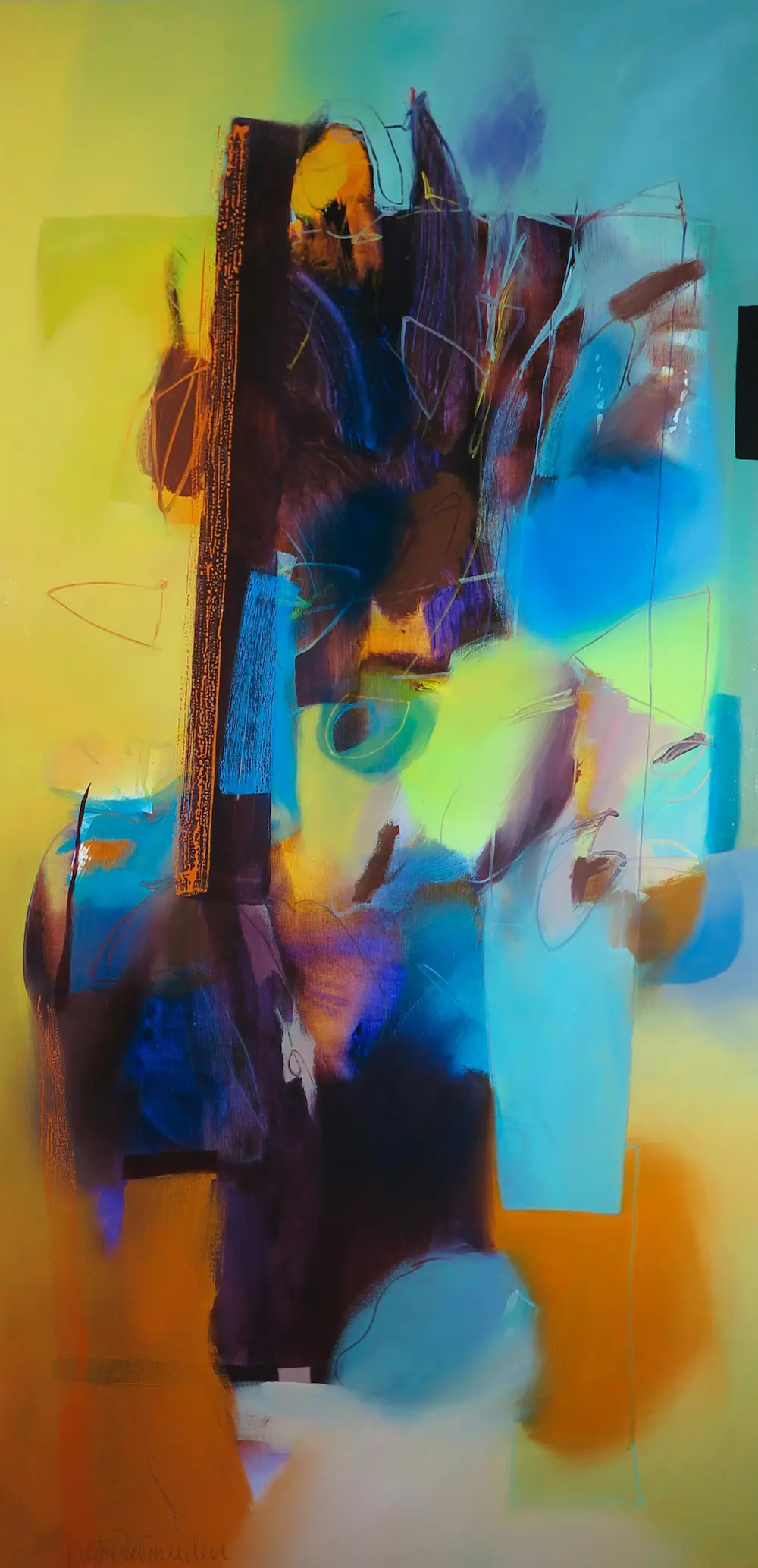 Pieter Vermeulen (1949)