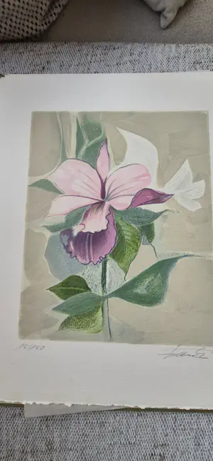 Dieter Framke - Flora und Fauna kopen? Bied vanaf 900!