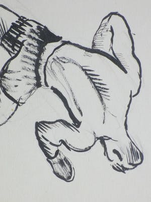 Herman Bieling - De Boer, de nieuwe kampioen - Penseeltekening kopen? Bied vanaf 35!