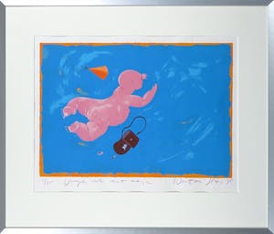 Wouter Stips - Zeefdruk, Vrije val met tasje kopen? Bied vanaf 1!