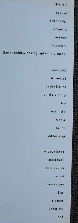 Herman Brood - Boek: Gerard Wessel fotografeert- 1991 kopen? Bied vanaf 50!