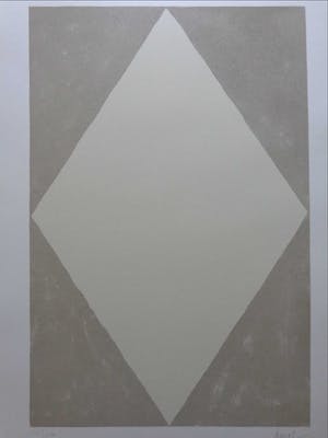 Dan Van Severen - GEOMETRISCHE ABSTRACTIE / KLEURLITHO / 70x50cm / SIG / 1975 kopen? Bied vanaf 45!