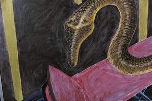 Kees Touw - Acryl op paneel, Slang - Ingelijst (Zeer groot) kopen? Bied vanaf 1!