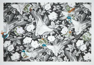 Arjan van Arendonk - Zeefdruk, Reorganisation kopen? Bied vanaf 1!