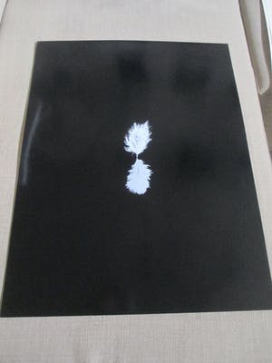 Henk Peeters - Zeefdruk Het Veertje kopen? Bied vanaf 250!