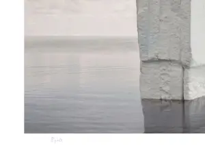 Mr Strange - Op en neer op de Noordpool kopen? Bied vanaf 85!