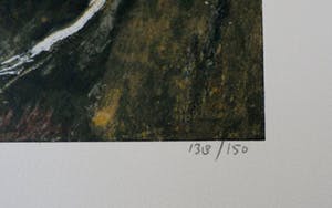 Charlotte Molenkamp - Charlotte Molenkamp - zeefdruk: Zomer kopen? Bied vanaf 99!