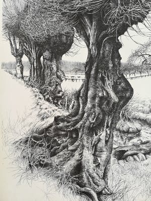 Patrick Creyghton - Landschap met bomen kopen? Bied vanaf 65!