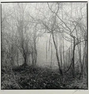 Ralph Janowski - Zonder titel kopen? Bied vanaf 28!