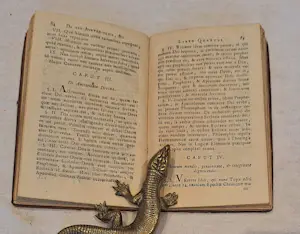 Antiquarisch Boek - INSTITUTIONES LOGICÆ IN USUM TIRONUM SCRIPTÆ Door Antonio Genuensi kopen? Bied vanaf 45!