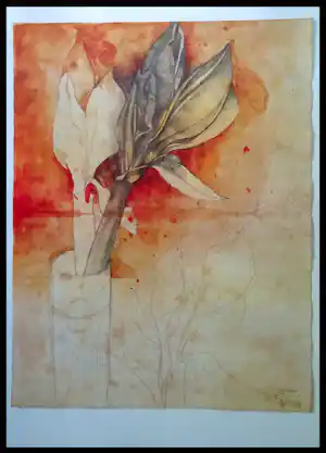 Bruno Bruni - Bruno Bruni - " AMARYLLIS II " - Kleuren Offset-lithografie - handgesigneerd verkauft für € 50!