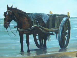 Lois Kapr - Schelpenvisser kopen? Bied vanaf 100!