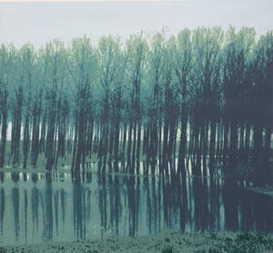 Martin T.J.M van de Laar - landschappelijk tweeluik | zeefdruk - ingelijst kopen? Bied vanaf 39!