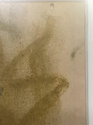 Rien Goené - Naakt model kopen? Bied vanaf 450!