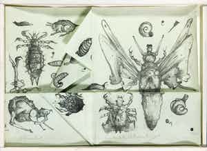 Dirkje Kuik - Litho, Winkelmansplantage verkocht voor € 80!