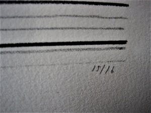 Herman Berserik - Zeldzame & grote Ets "verdraaide Pop" ZEER KLEINE OPLAGE (15ex) hand gesigneerd kopen? Bied vanaf 67!