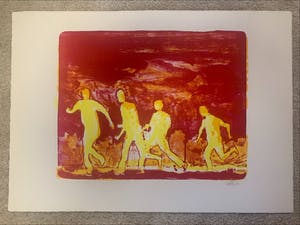 Daniel Richter - Rasende Irre kopen? Bied vanaf 800!