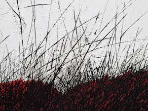 Andrzej Pietsch - Große handkolorierte Radierung "The Black - Red" sehr limiet. auflage (50) kopen? Bied vanaf 148!