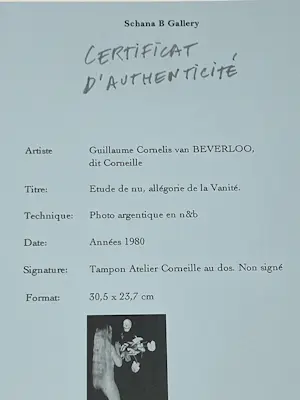 Corneille - Naaktstudie, allegorie van ijdelheid kopen? Bied vanaf 110!