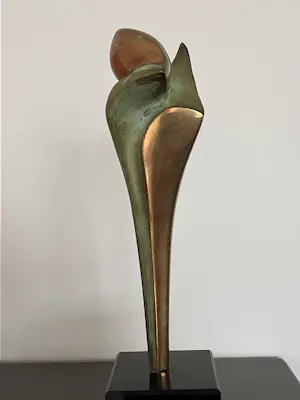 Ruurd Hallema - Adieu kopen? Bied vanaf 209!