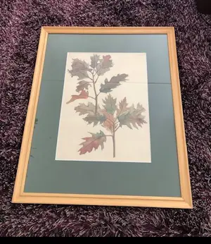 Gretha Pieck - studie van een eikenblad kopen? Bied vanaf 100!