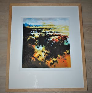 Mattie Schilders - 'Land' - zeefdruk uit 2006 kopen? Bied vanaf 40!