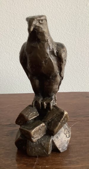 Brons (Onbekend) - Roofvogel kopen? Bied vanaf 150!