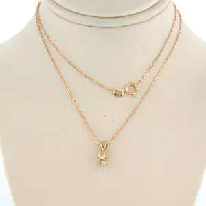 14k gouden collier met een solitair hanger met briljant geslepen diamant 0,12ct kopen? Bied vanaf 180!