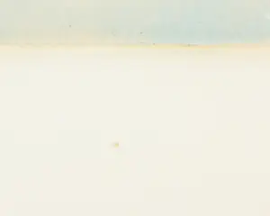 Ans Wortel - Kleurenets, Witte zielen - Ingelijst kopen? Bied vanaf 120!