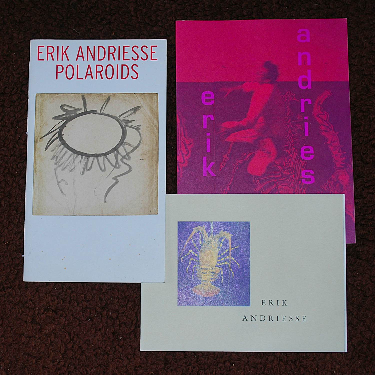 Erik Andriesse - 192 polaroids (oplage 500) & 2 andere gidsen kopen? Bied vanaf 75!