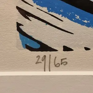 Hans Wap - Die Kanofahrt kopen? Bied vanaf 65!