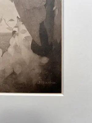 Jan Mankes - Originele Heliogravure Raaf in Berkenboom 1923 kopen? Bied vanaf 165!