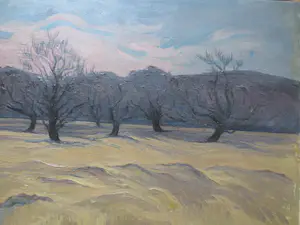 Henri van der Waals - Veluwe Zandverstuiving 1975 kopen? Bied vanaf 150!