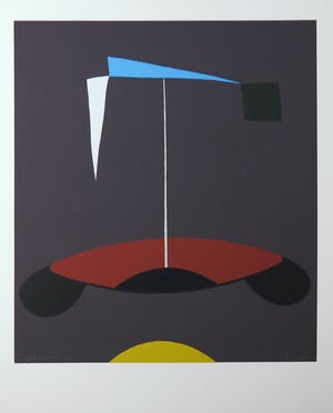 Doris Groeneveld - Zeefdruk, Utsynistadur kopen? Bied vanaf 1!