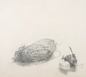 Jo van Dijk - Potloodtekening, Aardappel en ei met roos kopen? Bied vanaf 1!