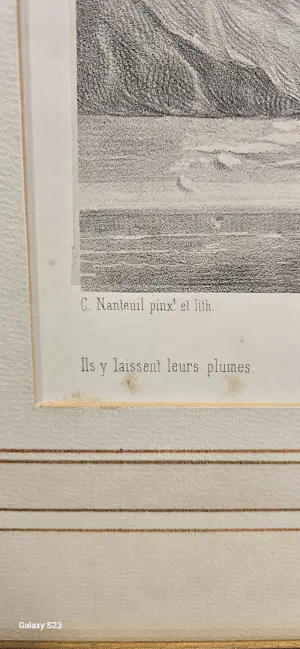 Celestin Nanteuil - Nanteuil lebouf dit nanteuil Ils y laissent leurs plumes kopen? Bied vanaf 100!