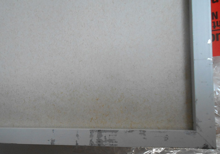 Marinus Fuit - Hangende lat vanaf schutting, litho 1981. kopen? Bied vanaf 60!