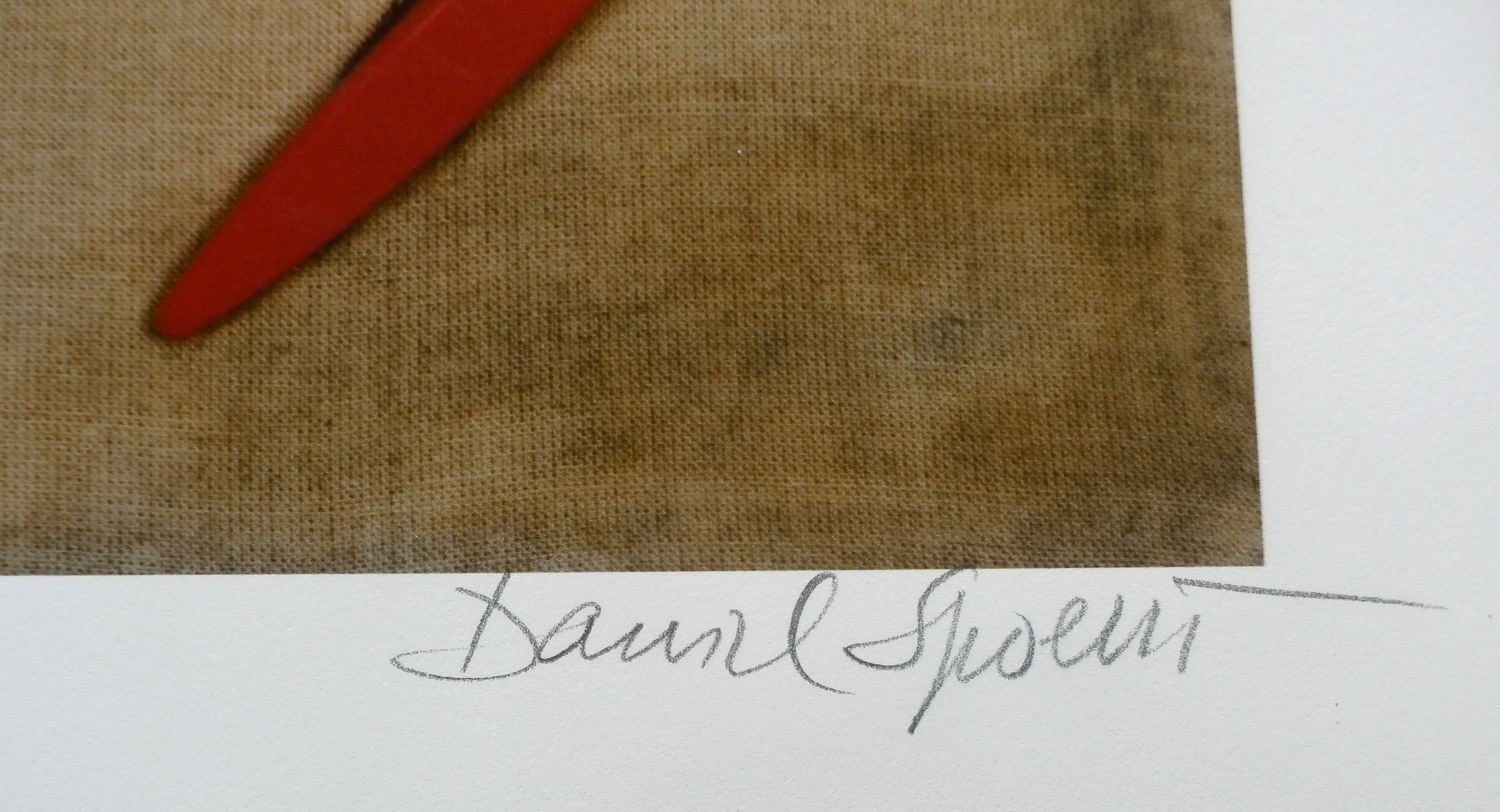 Daniel Spoerri - giclee: De rugzijde van de paradijsvogel - 2014 kopen? Bied vanaf 195!