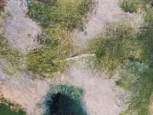 Jan van Riel - Boerderij kopen? Bied vanaf 20!