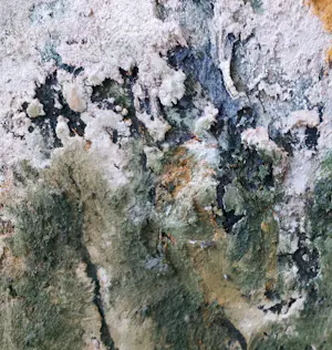 Gerard Strik - Zonder Titel (Groot) kopen? Bied vanaf 390!