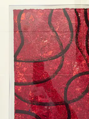 Herman van Veen - Gitaartrio in Rood, oplage 1/50 (litho) kopen? Bied vanaf 300!