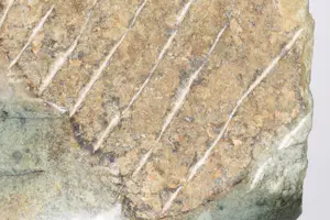 Ernest Marime - Stenen beeld, Hoofd kopen? Bied vanaf 250!