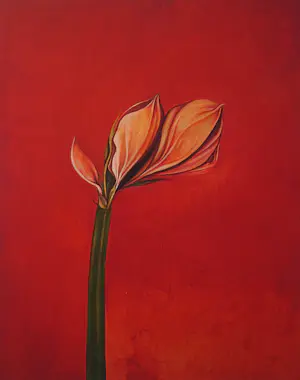 Bruno Bruni - " Amarillis " - kleurengiclee - handgesigneerd kopen? Bied vanaf 59!