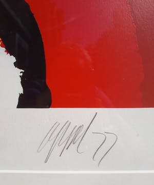 Karel Appel - Green head, zeefdruk (mooi ingelijst, groot) kopen? Bied vanaf 1695!