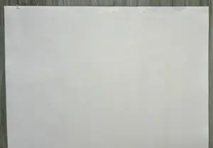 Bettina Lopetro - Man kopen? Bied vanaf 22!