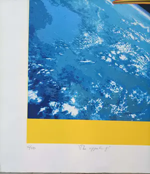 Wout van der Vet - The Opportunity i.s.m. Wubbo Ockels kopen? Bied vanaf 25!