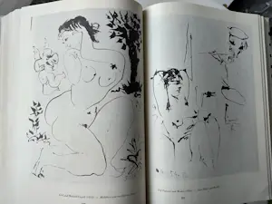 Pablo Picasso - Wilhelm Boeck, German Edition 1955 kopen? Bied vanaf 70!