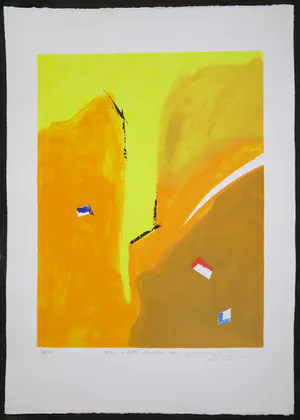 Gerard Bijnens - Zeefdruk, Tekens in tijdloze kleurvelden kopen? Bied vanaf 1!