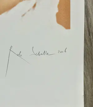 Rob Scholte - Cascade kopen? Bied vanaf 45!